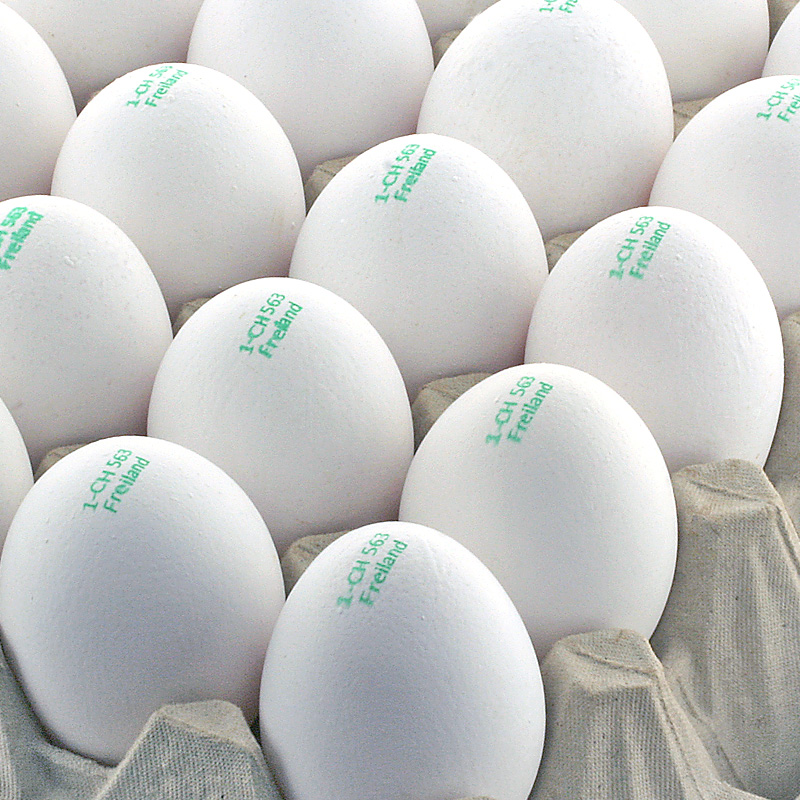 UOVO UOVA SUISSE GARANTIE FREILAND 53G BIANCO 60PZ CRT SF