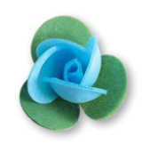 [Rosellina con foglie] Rose bleu ciel avec feuilles (Carton 200 pièces) FLOR