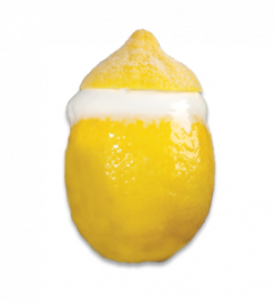 Lemon Sorbet Fruit 100 g (Case 12 pcs) EUR