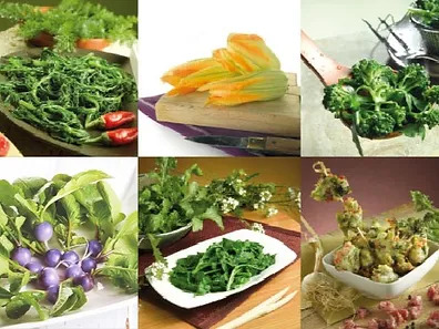 Verdure e surgelati vegetali all'ingrosso