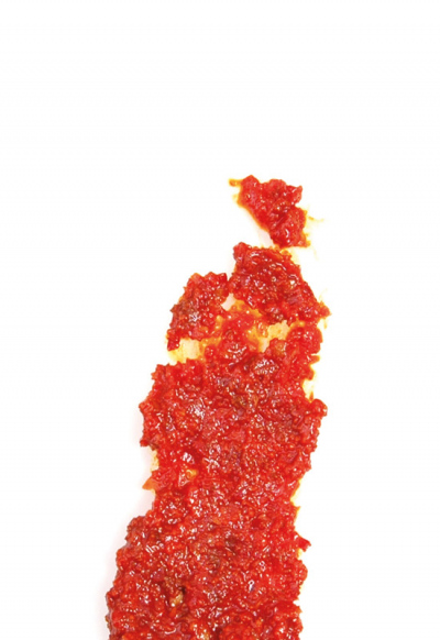 CREMA DI NDUJA VASO 260G 12PZ CRT RIS