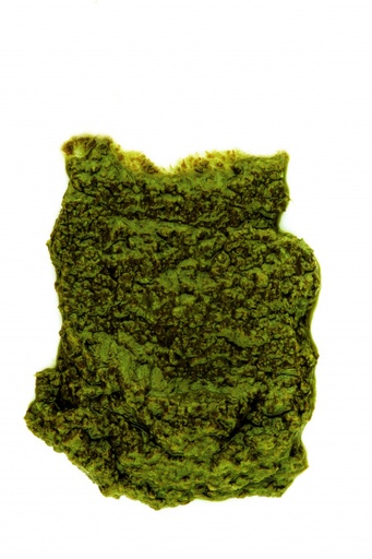CREMA DI FRIARIELLI 800G 6PZ CRT RIS