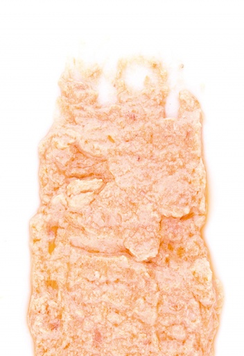 CREMA DI SALMONE LATTA 4OOG 12PZ CRT RIS