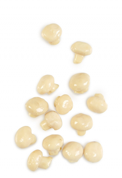 FUNGHETTI IN OLIO VASO 295G 12 PZ CRT RIS