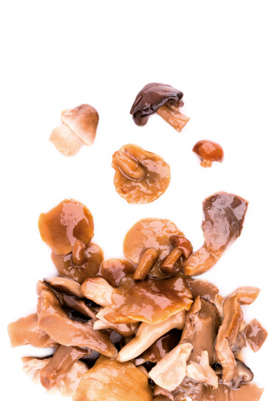 FUNGHI MISTI TRIFOLATI 5 VAR. BUSTA 650G 24PZ CRT RIS