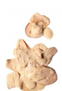 FUNGHI PORCINI CREMOSI ELITE LATTA 800G 6PZ CRT RIS