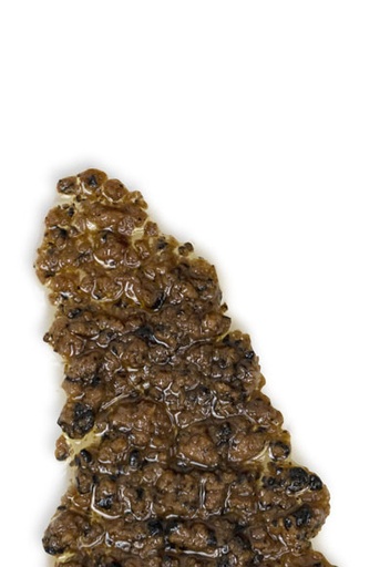 MACINATO DI TARTUFO NERO ESTIVO IN OLIO EVO VASO VETRO 80G 12PZ CRT RIS