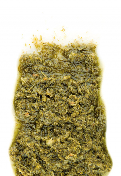 SALSA DI FINOCCHIETTO SELVATICO VASO 520G 6PZ CRT RIS