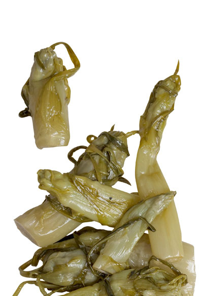 PUNTARELLE DI CICORIA LATTA 750G 6PZ CONF RIS