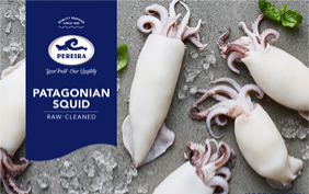 CALAMARO PATAGONIA PULITO 4C BLOCCO FAO41 CONF 1KG 8KG CRT PER