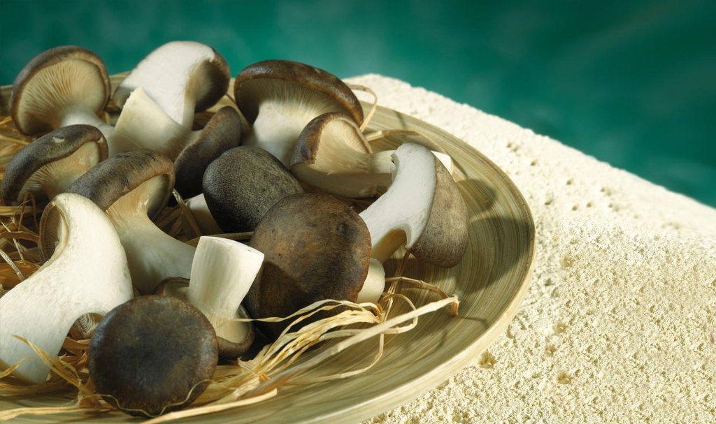 FUNGHI CARDONCELLI SURGELATI CONF 1KG 4KG CRT SPIRITO C