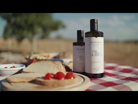 OLIO EXTRAVERGINE DI OLIVA 100% ITALIANO 250ML 20PZ CRT PRIM
