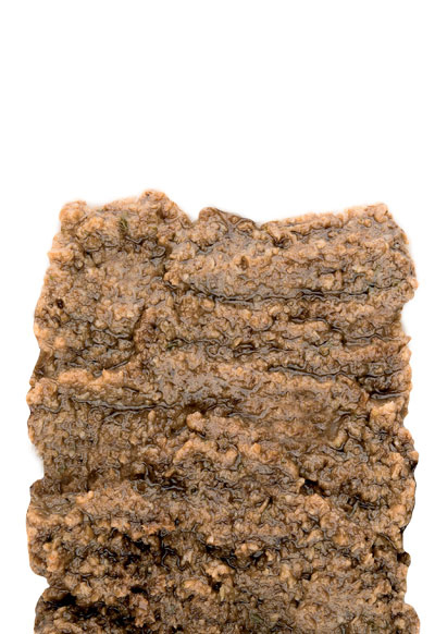 SALSA TARTUFATA VASO 225G 12 PZ CRT RIS