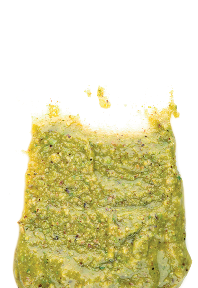 SALSA DI PISTACCHIO RICETTA SICILIANA VASO 520G 6PZ CRT RIS