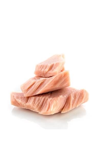 TONNO IN OLIO DI OLIVA LATTA 80G 90PZ CRT RIS
