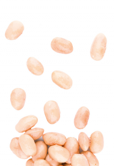 FAGIOLI BORLOTTI LATTA 400G ITA 12PZ CRT RIS