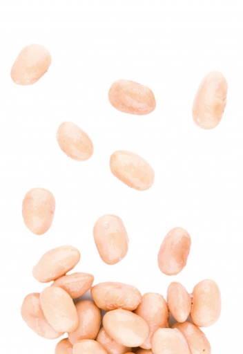 FAGIOLI BORLOTTI LATTA 400G ITA 12PZ CRT RIS
