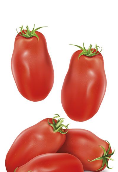 POMODORO PELATI SAN MARZANO DOP LATTA 2.5KG 6PZ CRT RIS