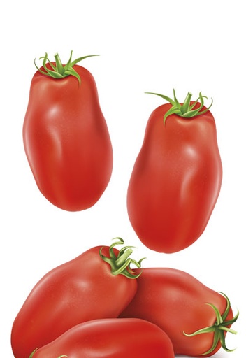 POMODORO PELATI SAN MARZANO DOP LATTA 2.5KG 6PZ CRT RIS