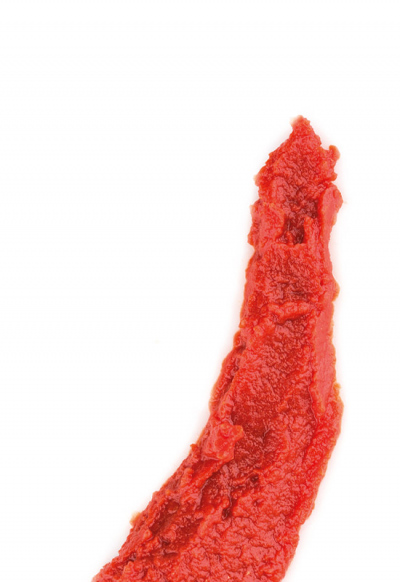 DOPPIO CONCENTRATO DI POMODORO LATTA 800G 6PZ CRT RIS