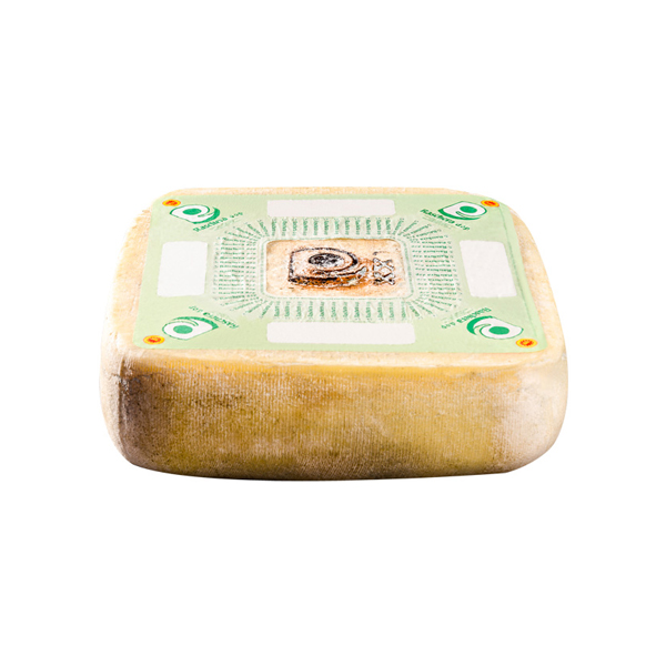 RASCHERA DOP FORMA CA 7KG FERR