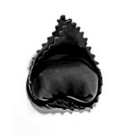 PASTA RIPIENA BACCALA E GAMBERONI CONF 1KG CA 5KG CRT MARC