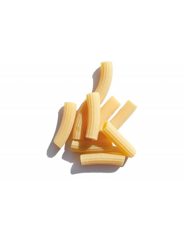 MEZZI RIGATONI FRESCHI CONF 1KG CA 5KG CRT MARC