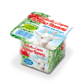 Nonno Nanni Robiola Di Capra 100gx 8 stk Ferr