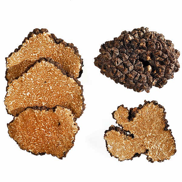 Tartufo Nero Estivo Frisch ( Tuber Aestivum Vittad.) Tt