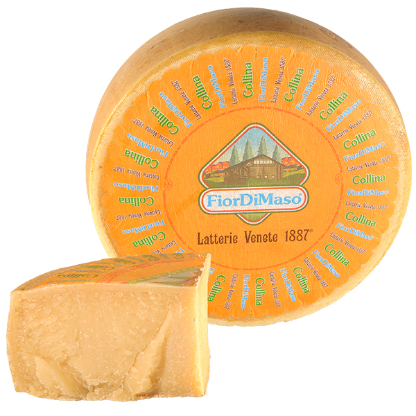COLLINA VECCHIO FIORDIMASO 3D FORMA CA 6KG CAF