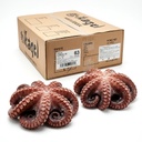 Poulpe Octopus Vulgaris IQF T3 2-3 kg (Carton env. 16 kg)