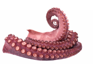 Polpo Tentacoli Cotti XL da180g a 270g U IFA DISC
