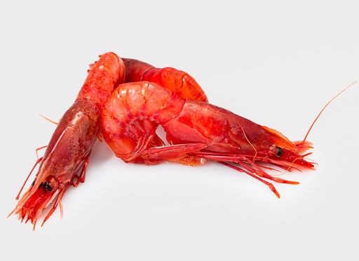 Gambero Rosso Mediterraneo Vaschetta 1° 15/25 Extra cong kg - 4kg case FREDD