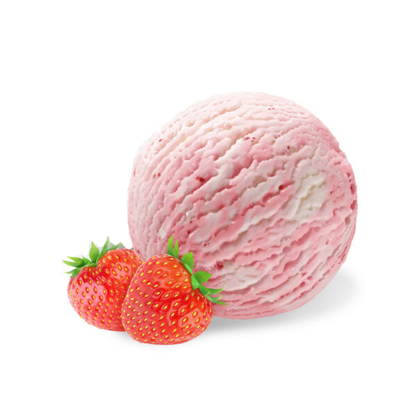 GELATO Sorbetto FRAGOLA BIO VASCH 2LT GP