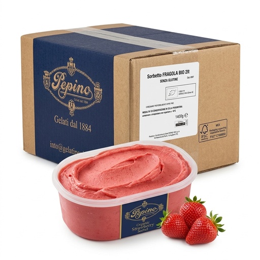 Sorbet Fraise Bio Bac 2l 1400g GP