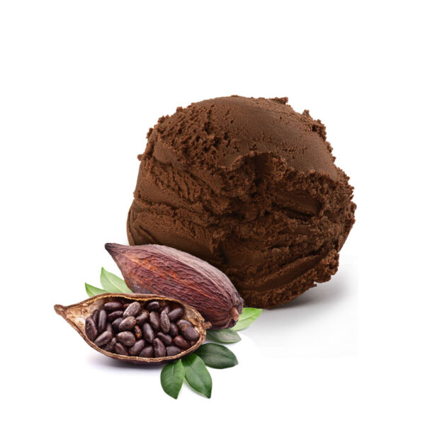 GELATO CACAO VASCH 2LT GP
