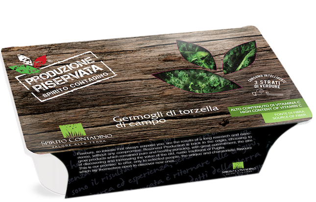 Germogli Di Torzella Di Campo 1kg pkg 4kg krt Spirc