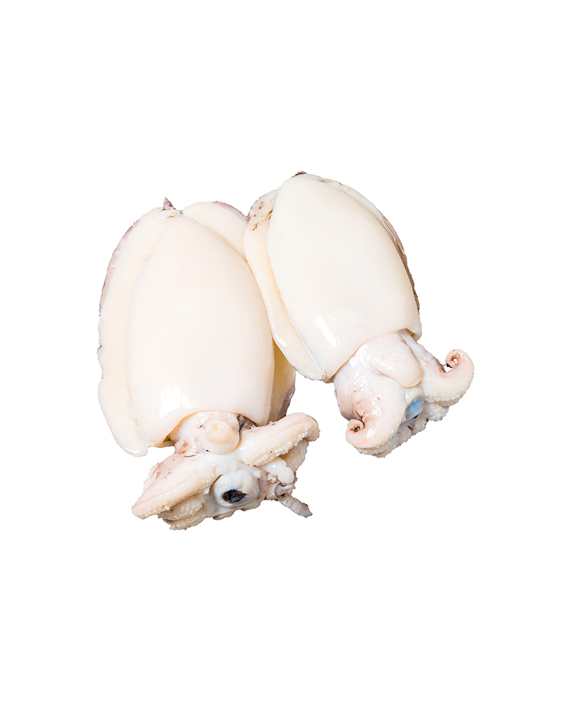 Seppia Pul Iqf India (amulya) U/1 4.8kg krt Cong Fredd