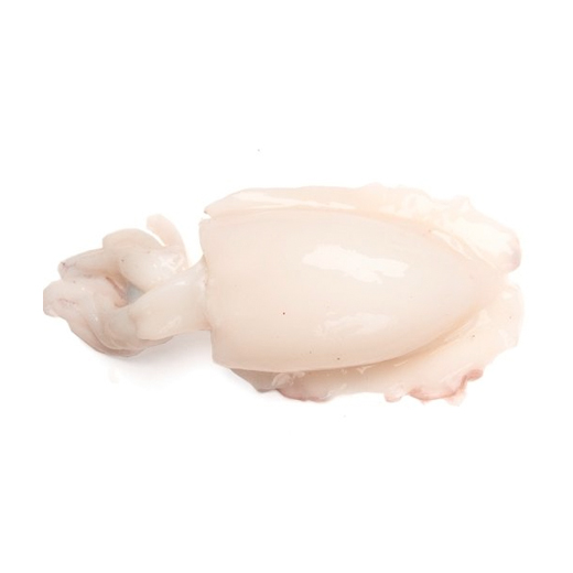 Seiche Nettoyée IQF d'Inde (Amulya) 13/20 (Carton 5,4 kg) - FREDD