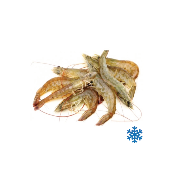 Crevettes atlantiques du Nigeria (Natures Pearl) 20/30 Surgelées à bord 1 kg (Carton 12 kg) FREDD