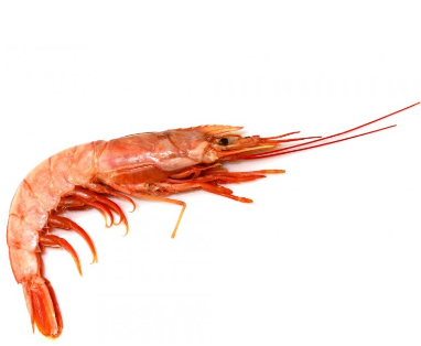 Gambero Rosso Argentina Selv 8/12 Dec C Gusc Glass pkg 800g 10 pkg krt 8kg krt Lanz