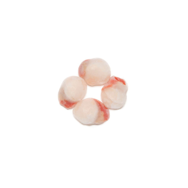 CAPESANTE ATLANTICHE SGUSC CRUD IQF SCOZIA 8/12 CRT CA 10KG SENZA GLASSATURA FREDD