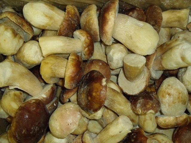 FUNGHI PORCINI CONG. INTERI EXTRA TOP BUSTA 1KG 6KG CRT MF