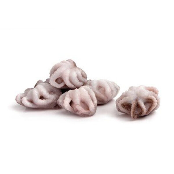 POLIPETTI IQF ( AMULYA) 13/20 CONG CA. 5.5 KG CRT FREDD