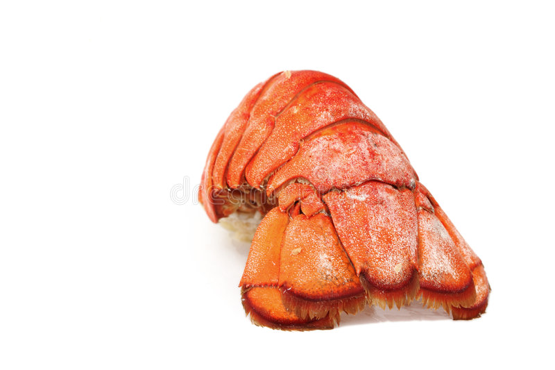 HUMMERSCHWAENZE HOMARUS AMERICANUS MSC 80-100G CAN US FAO21 4.54KG CRT SOG