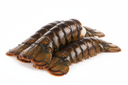 Code Di Astice Americano (homarus Americanus) 80–100 g krt 4,54 kg