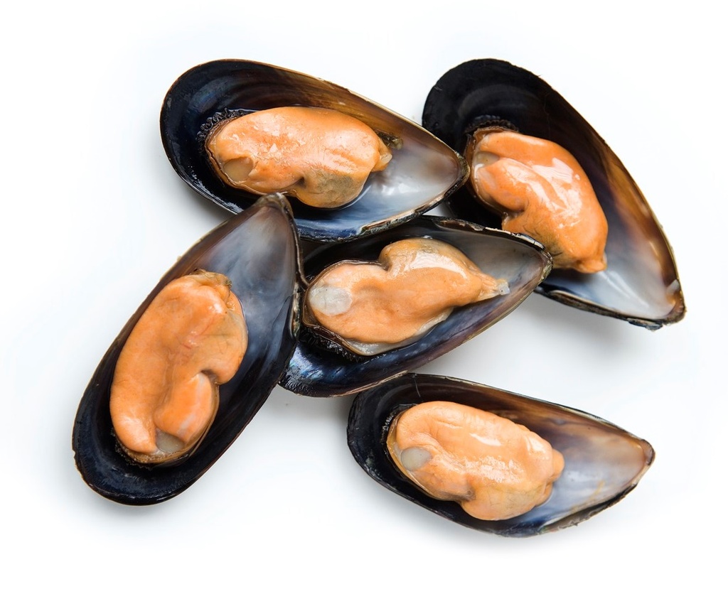 Cozze Mezzoguscio Cile 60/80 Cong Busta 500g 10kg krt Fredd