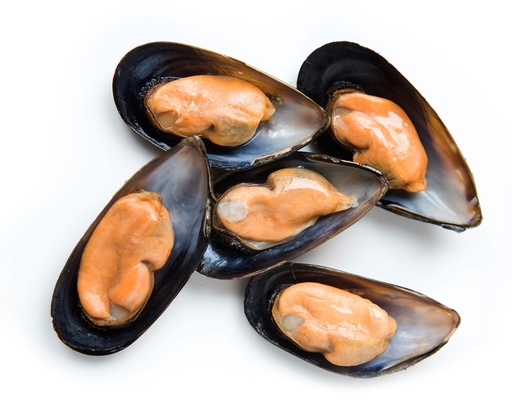Cozze Mezzoguscio Cile 60/80 cong Busta 500g 10kg crt FREDD
