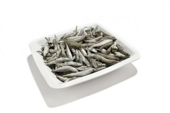 Latterini IQF Turchia 300/500 cong 1kg pack 10kg case FREDD