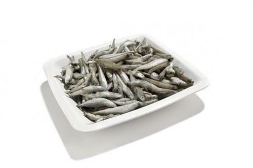 Latterini IQF Turchia 300/500 cong 1kg pack 10kg case FREDD
